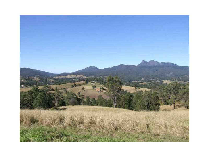 Murwillumbah NSW 2484