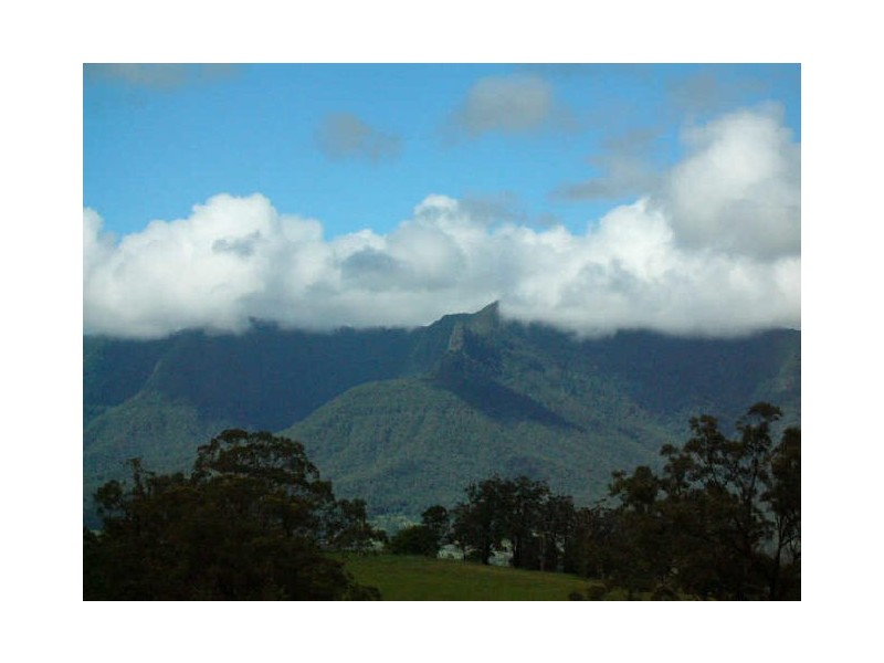 Murwillumbah NSW 2484