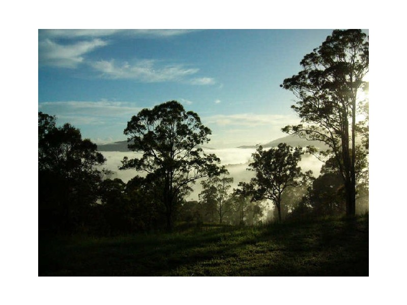 Murwillumbah NSW 2484