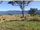 Murwillumbah NSW 2484
