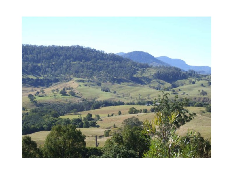 Murwillumbah NSW 2484