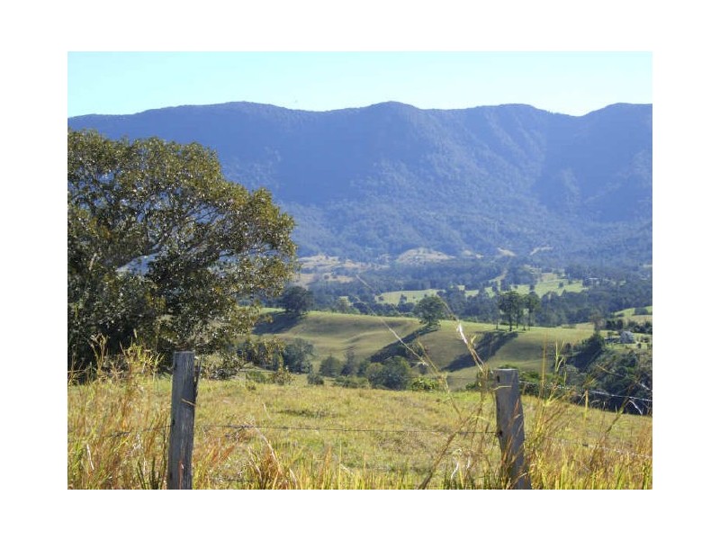 Murwillumbah NSW 2484