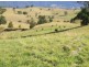 Murwillumbah NSW 2484