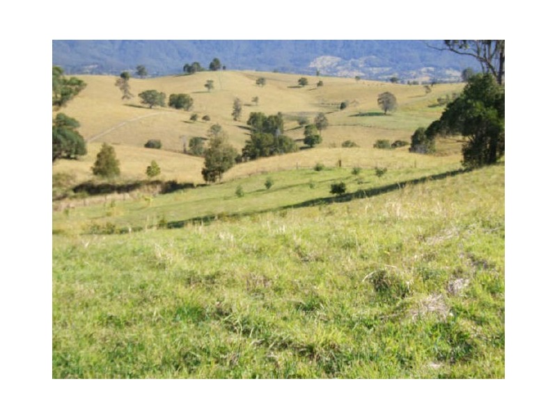 Murwillumbah NSW 2484