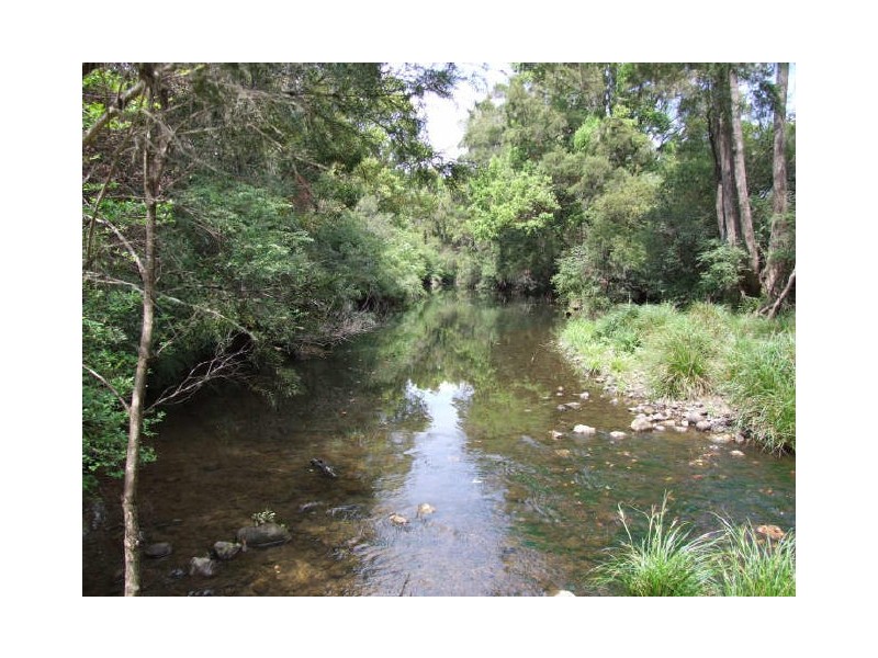 Murwillumbah NSW 2484