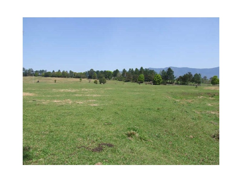 Murwillumbah NSW 2484