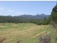 Murwillumbah NSW 2484