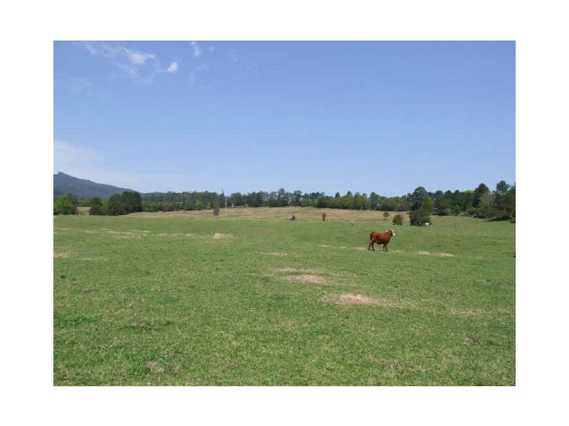 Murwillumbah NSW 2484