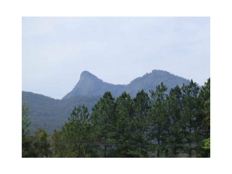 Murwillumbah NSW 2484