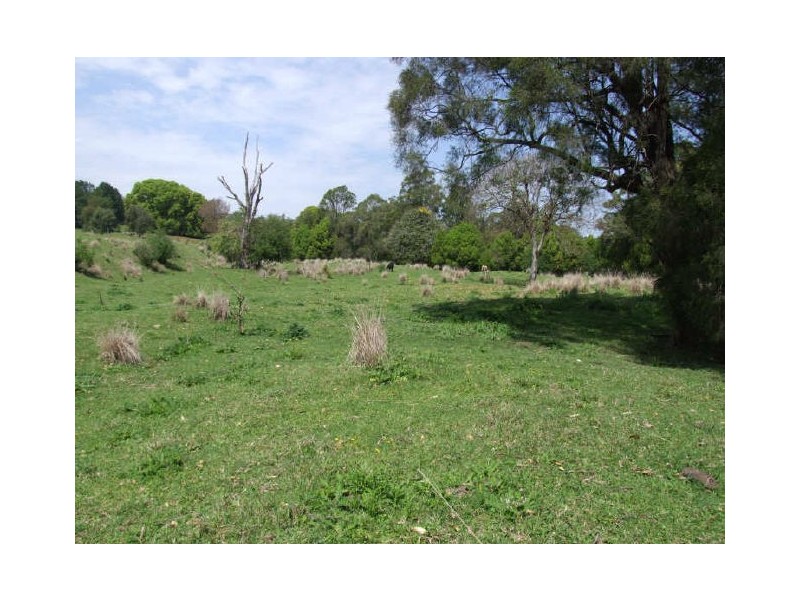 Murwillumbah NSW 2484