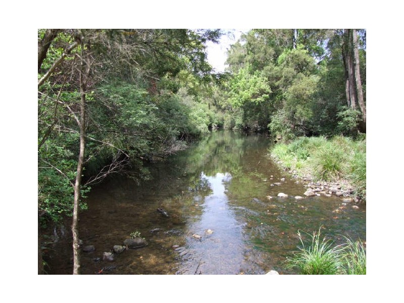 Murwillumbah NSW 2484