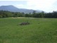 Murwillumbah NSW 2484