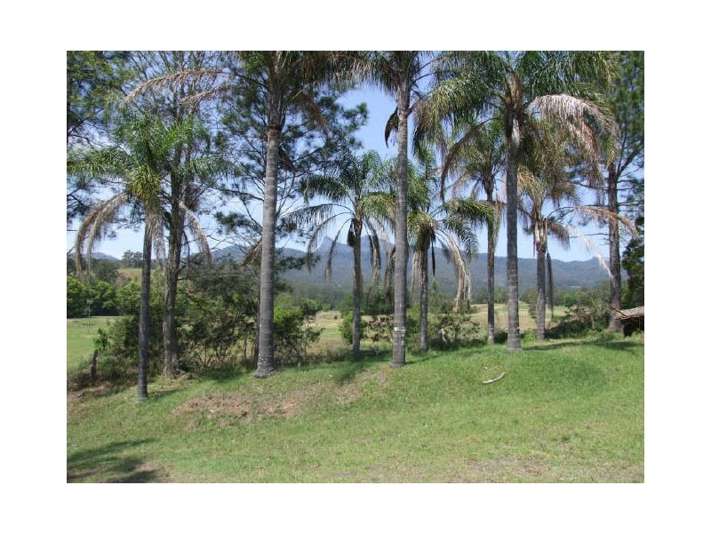 Murwillumbah NSW 2484