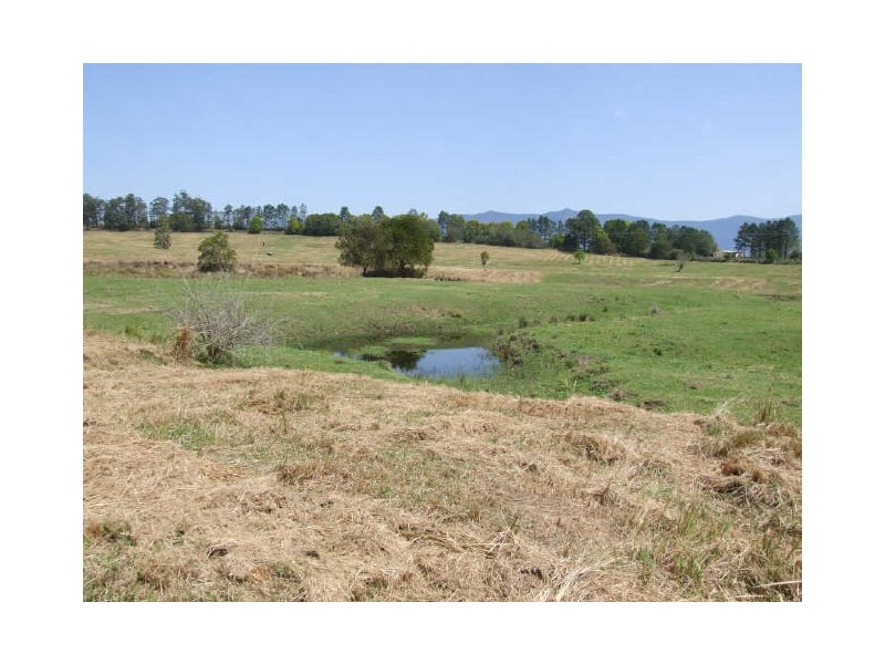 Murwillumbah NSW 2484
