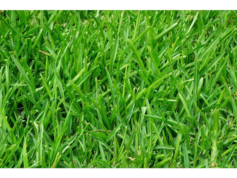 7 Nettle Street, Wallan VIC 3756