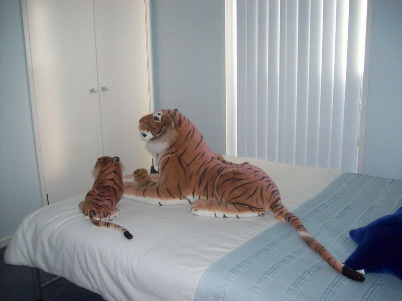 5 Alan Drive, Wallan VIC 3756