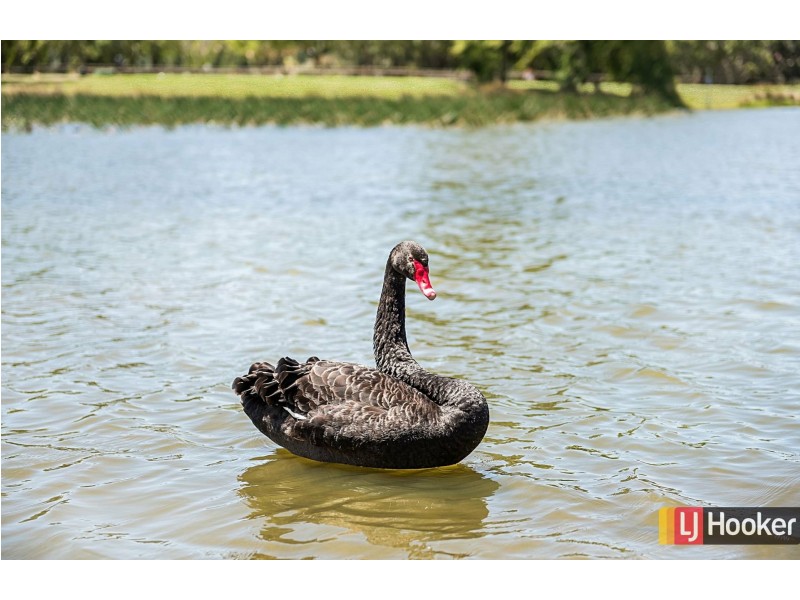 9 Lakeside Drive, Hidden Valley VIC 3756