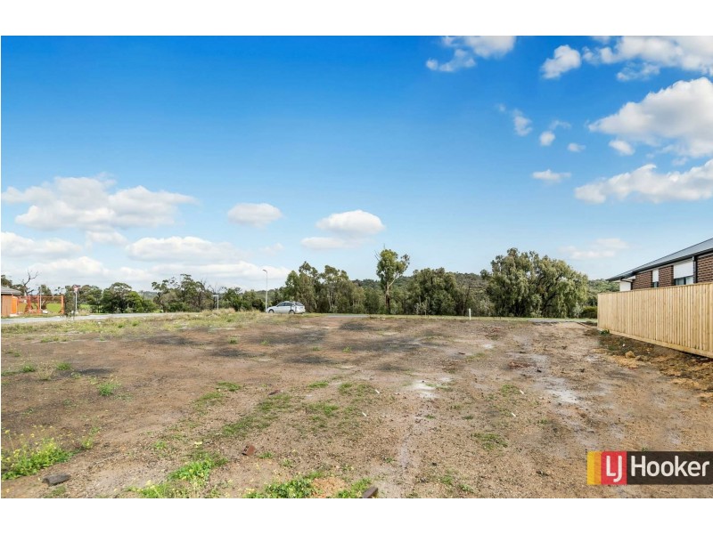 103 Riceflower Rise, Wallan VIC 3756