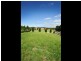 5 Uno Court, Hidden Valley VIC 3756