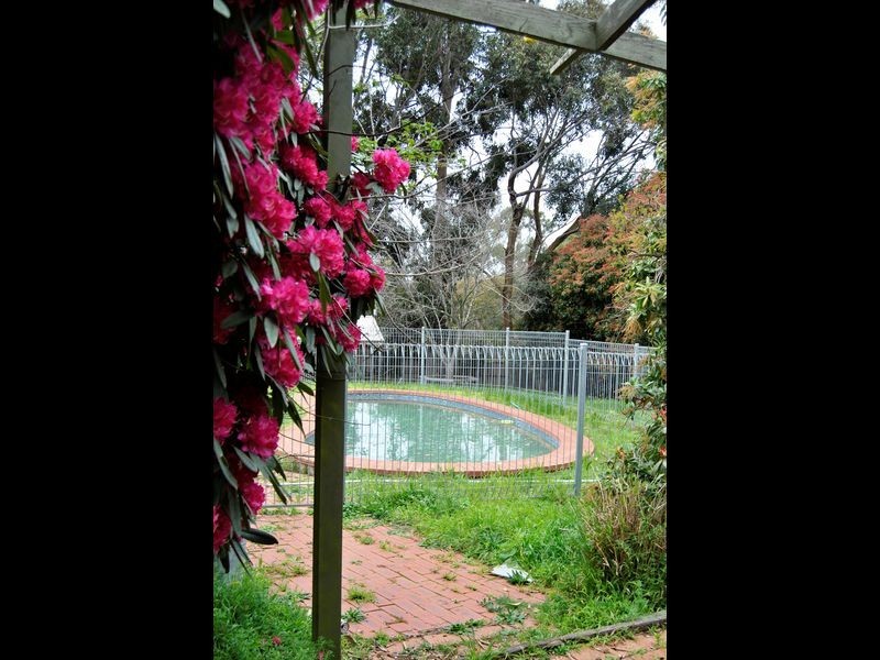 142 Windham Street, Wallan VIC 3756