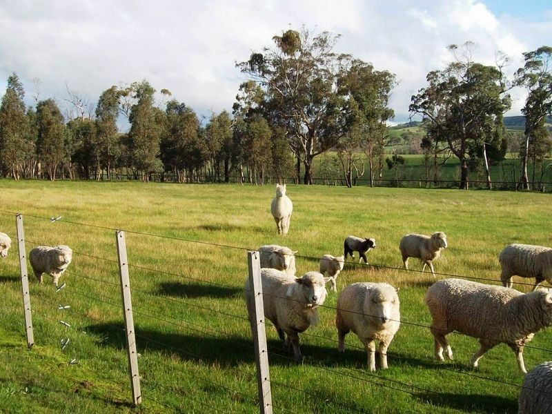 125 Spur Road, Clonbinane VIC 3658