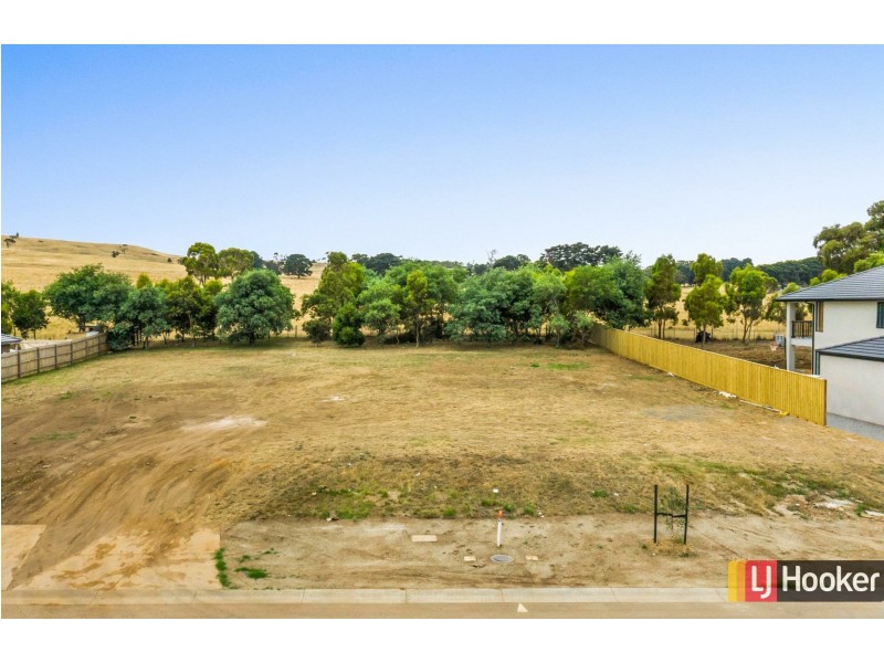 58 Berry Saltbush Drive, Wallan VIC 3756