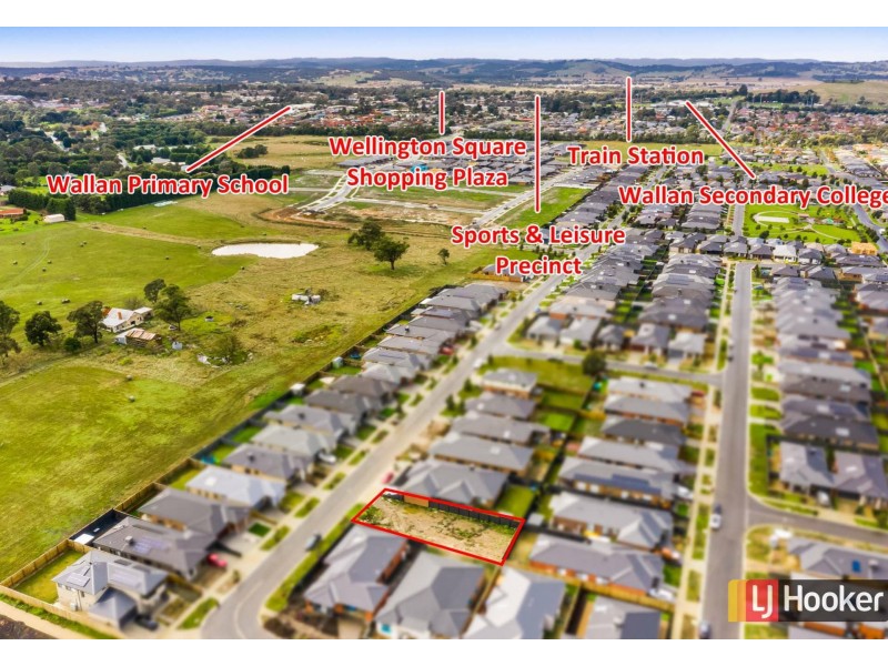 67 Riceflower Rise, Wallan VIC 3756