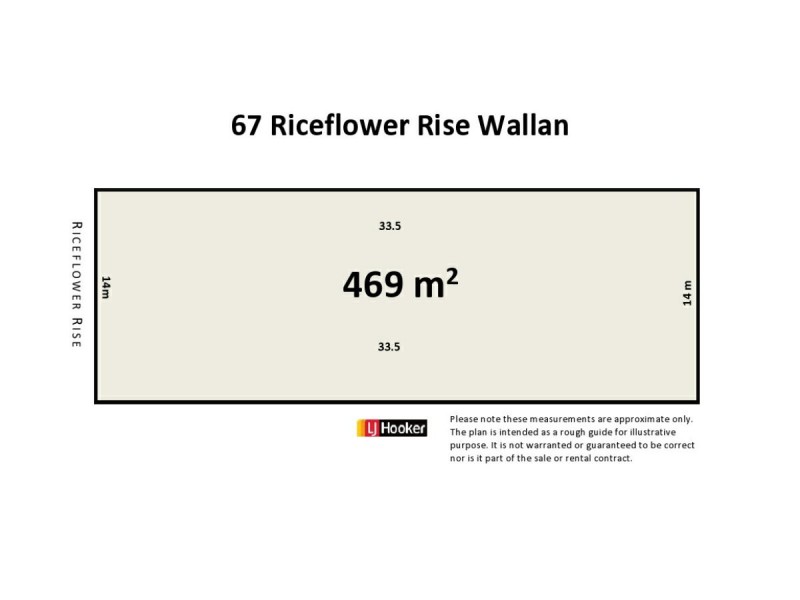 67 Riceflower Rise, Wallan VIC 3756