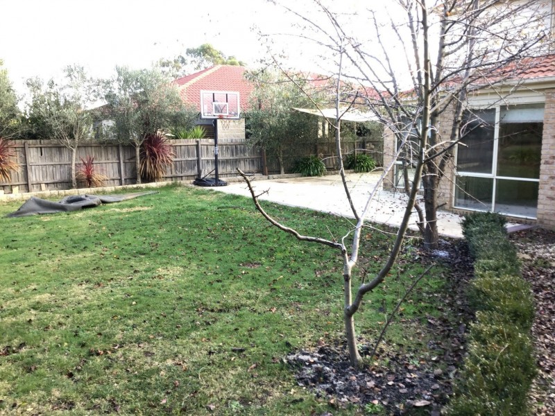 17 Augusta Way, Hidden Valley VIC 3756