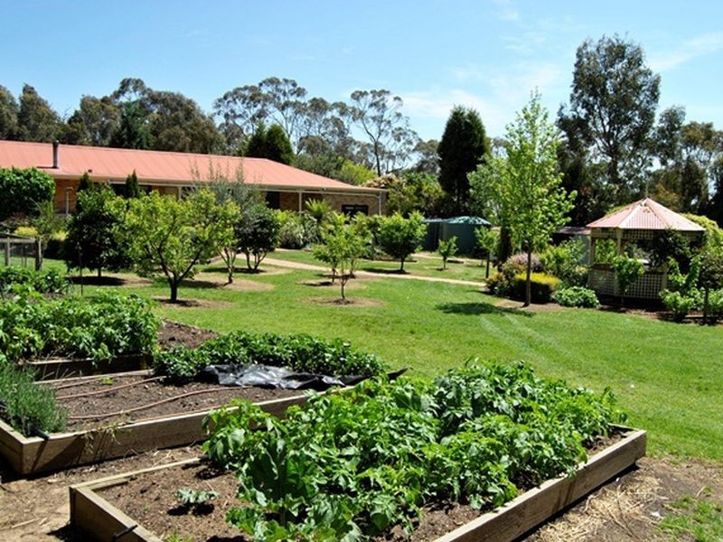 12 Budd Avenue, Wallan VIC 3756