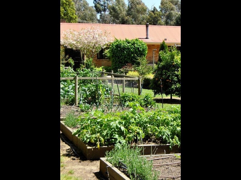 12 Budd Avenue, Wallan VIC 3756