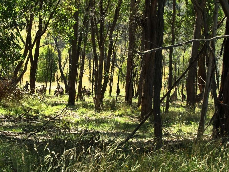 12 (L 296) Siena Ridge, Hidden Valley VIC 3756