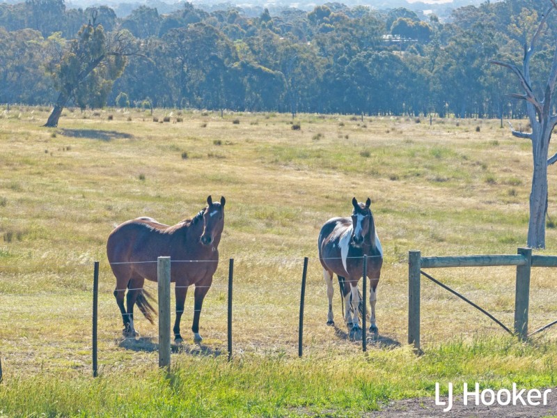 370 Selection Road, Sugarloaf Creek VIC 3658