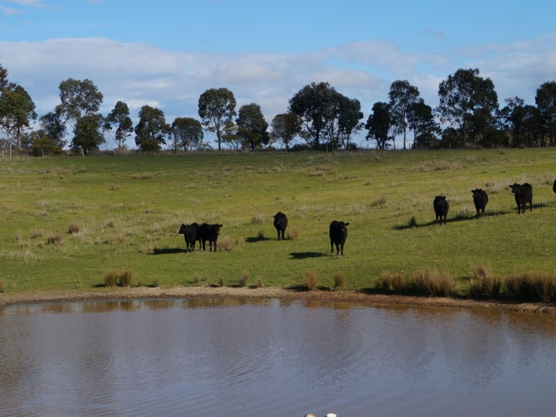 370 Selection Road, Sugarloaf Creek VIC 3658