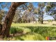24 Wisemans Lane, Newham VIC 3442