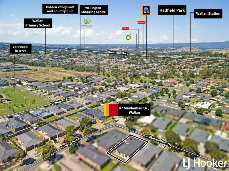 47 Maidenhair Drive, Wallan VIC 3756