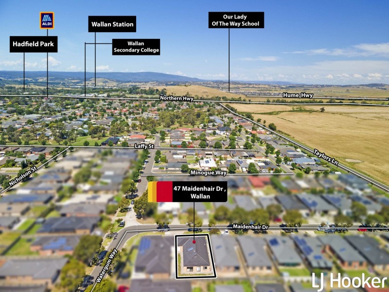 47 Maidenhair Drive, Wallan VIC 3756