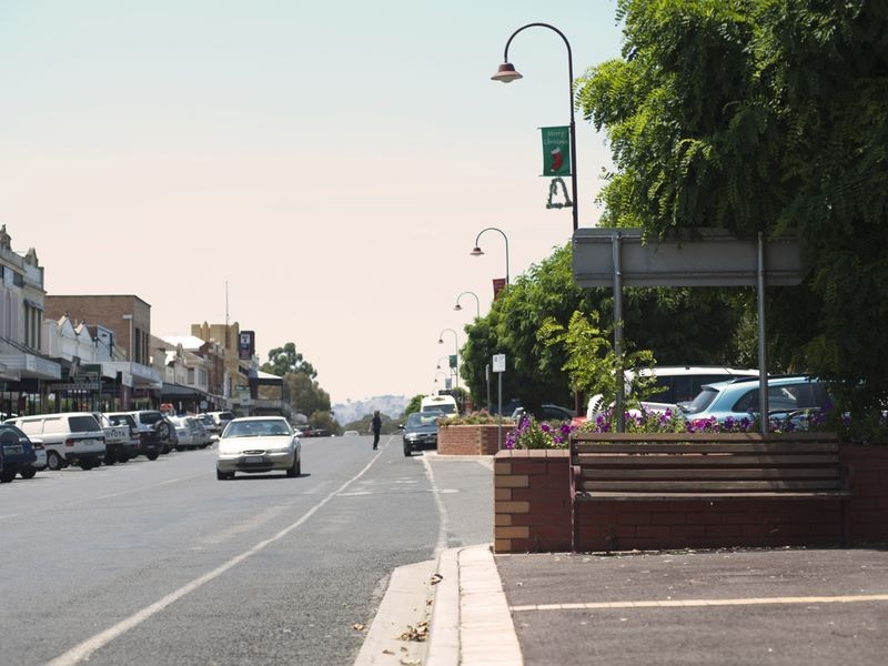 46 Chisholm Street, Seymour VIC 3660