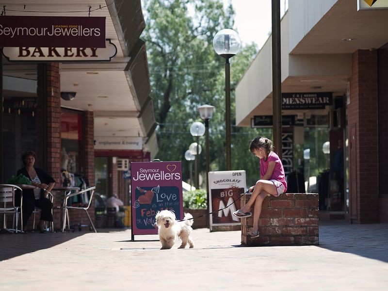 11 Skermer Ave, Seymour VIC 3660