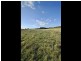 Lot 722 Cavallo Crescent, Hidden Valley VIC 3756
