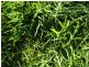 Lot 619 Wallara Waters Boulevard, Wallan VIC 3756