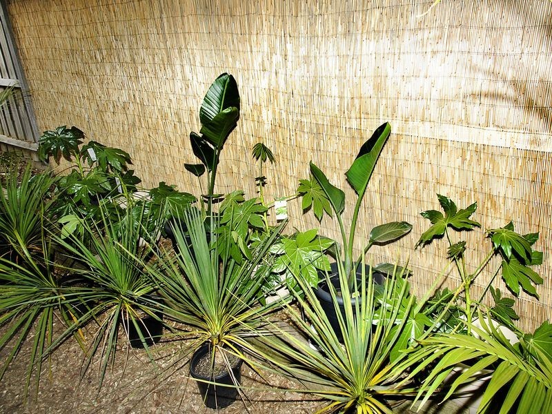 17 Pamela Court, Wallan VIC 3756