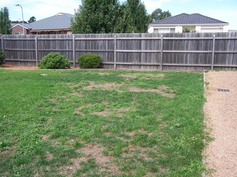 51 Wyatt Way, Wallan VIC 3756