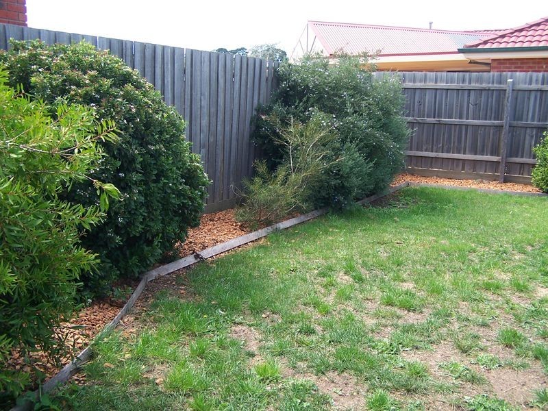 51 Wyatt Way, Wallan VIC 3756