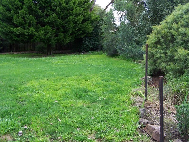 49 Raglan Street, Wallan VIC 3756