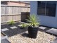 13 Woronora Way, Wallan VIC 3756
