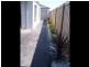 13 Woronora Way, Wallan VIC 3756
