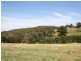 Lot 292 (4 Siena Ridge, Wallan VIC 3756