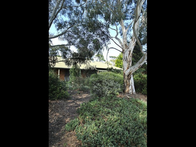 11 Franklin Close, Wallan VIC 3756