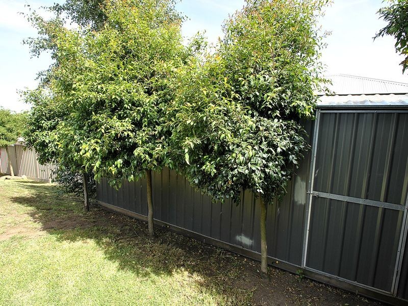 13 Poa Place, Wallan VIC 3756